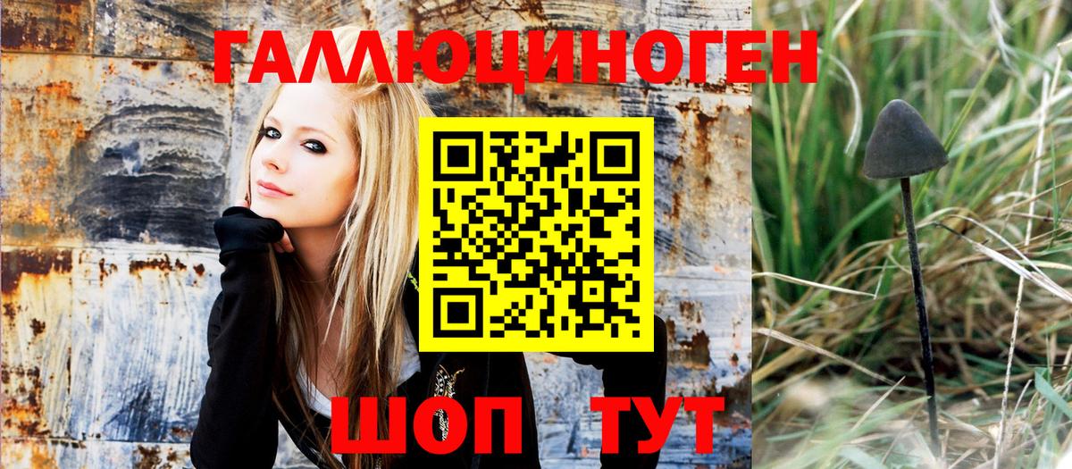 Новый Уренгой  Галлюциногенные грибы Psilocybine cubensis  Вход с VPN 