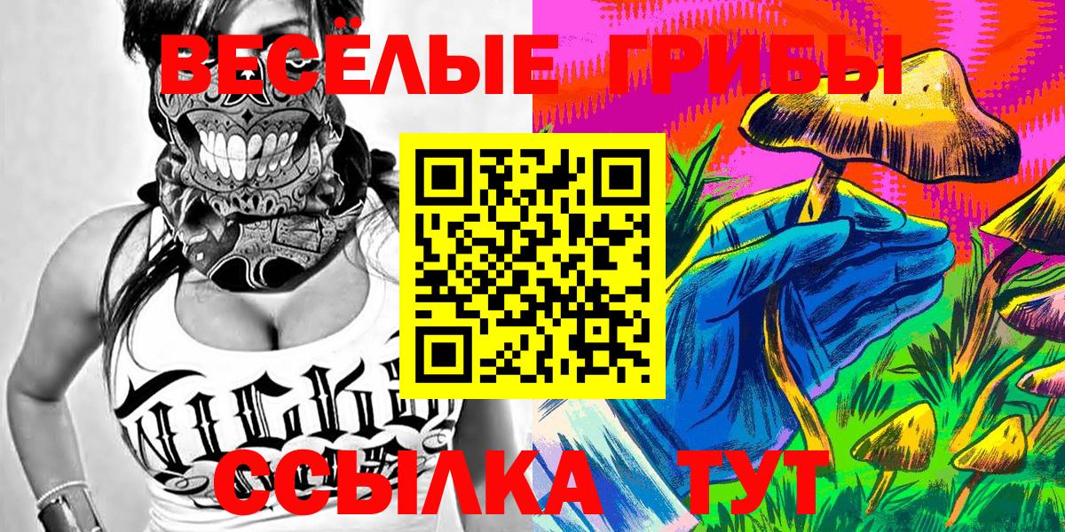 Псилоцибиновые грибы GOLDEN TEACHER Новый Уренгой